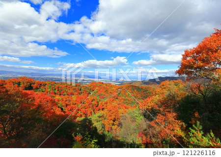 【大阪府】大阪府民の森ほしだ園地 星のブランコと紅葉 【大阪府】大阪府民の森ほしだ園地 星のブランコと紅葉 121226116