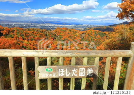 【大阪府】大阪府民の森ほしだ園地 星のブランコと紅葉 【大阪府】大阪府民の森ほしだ園地 星のブランコと紅葉 121226123