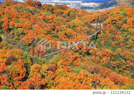 【大阪府】大阪府民の森ほしだ園地 星のブランコと紅葉 121226132