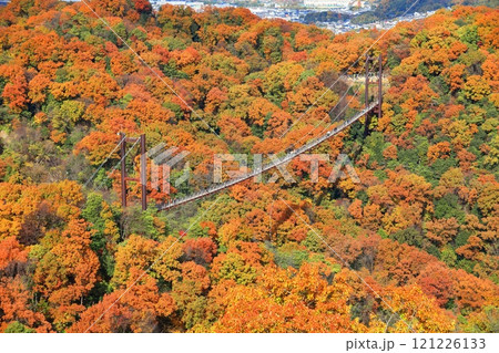 【大阪府】大阪府民の森ほしだ園地 星のブランコと紅葉 121226133