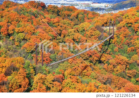 【大阪府】大阪府民の森ほしだ園地 星のブランコと紅葉 121226134