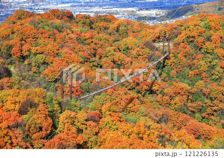 【大阪府】大阪府民の森ほしだ園地 星のブランコと紅葉 121226135