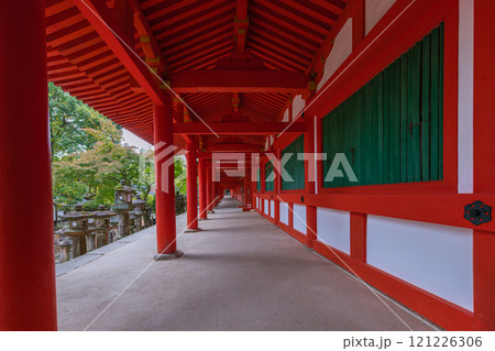 春日大社ーユネスコ世界遺産、壮観2000基を超える石灯篭と1000個の吊り灯篭 121226306
