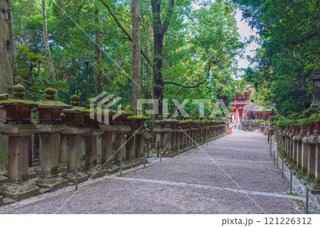 春日大社ーユネスコ世界遺産、壮観2000基を超える石灯篭と1000個の吊り灯篭 121226312