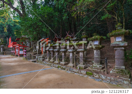 春日大社ーユネスコ世界遺産、壮観2000基を超える石灯篭と1000個の吊り灯篭 121226317