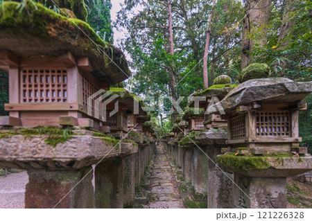 春日大社ーユネスコ世界遺産、壮観2000基を超える石灯篭と1000個の吊り灯篭 121226328