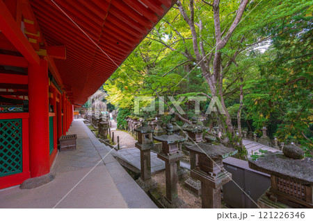 春日大社ーユネスコ世界遺産、壮観2000基を超える石灯篭と1000個の吊り灯篭 121226346