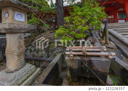 春日大社ーユネスコ世界遺産、壮観2000基を超える石灯篭と1000個の吊り灯篭 121226357