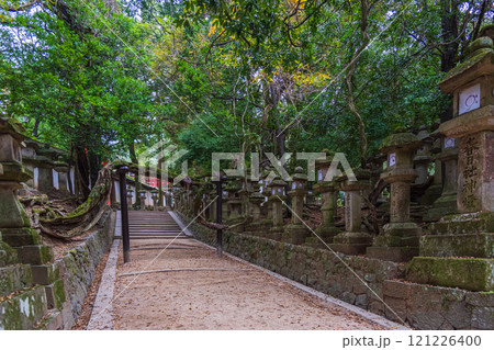 春日大社ーユネスコ世界遺産、壮観2000基を超える石灯篭と1000個の吊り灯篭 121226400