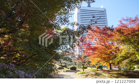 紅葉の旧芝離宮恩賜庭園 121227008