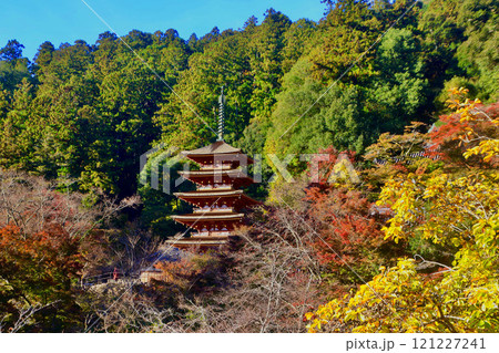 秋の長谷寺・五重塔・遠景（奈良県・桜井市） 121227241