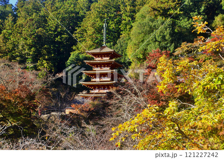 秋の長谷寺・五重塔・遠景（奈良県・桜井市） 121227242