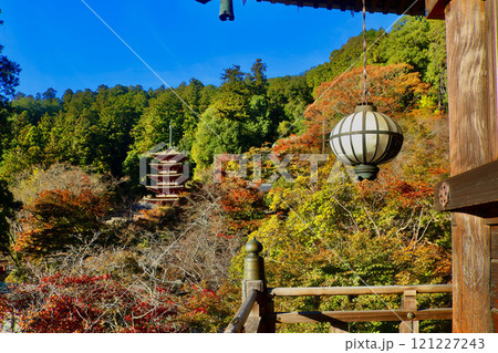 秋の長谷寺・五重塔・遠景(奈良県・桜井市) 秋の長谷寺・五重塔・遠景(奈良県・桜井市) 121227243