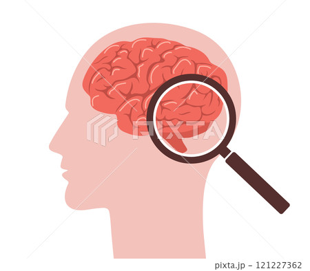 Brain anatomy. Human head with magnifier. Neurology disease diagnostics. Side view. Vector illustration in flat cartoon style Brain anatomy. Human head with magnifier. Neurology disease diagnostics. Side view. Vector illustration in flat cartoon style 121227362