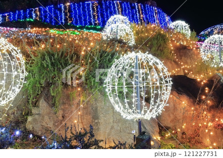 【香川県】冬の国営讃岐まんのう公園 (イルミネーション) 【香川県】冬の国営讃岐まんのう公園 (イルミネーション) 121227731