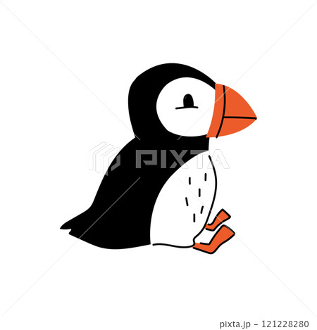 An illustration of a cute doodle puffin sitting. Fun cartoon black and white Nordic bird. 121228280