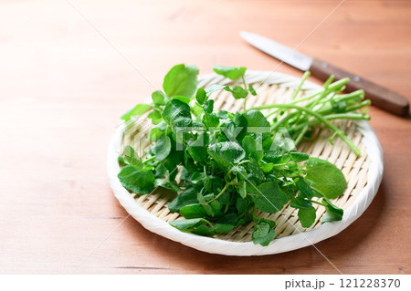 笊にのせた新鮮なクレソン ( 辛みがあり、肉料理の付け合わせとしても人気 ) 笊にのせた新鮮なクレソン ( 辛みがあり、肉料理の付け合わせとしても人気 ) 121228370