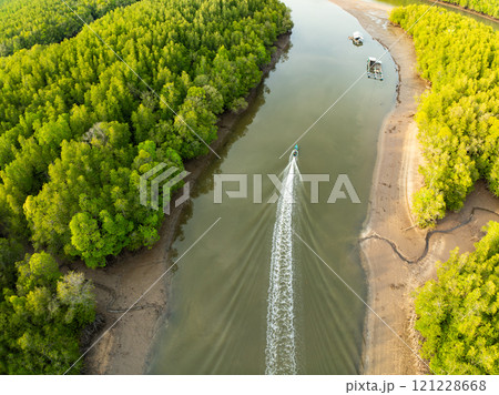 Amazing abundant mangrove forest,Aerial view of forest trees Rainforest ecosystem and healthy environment background,Texture of green trees forest background Amazing abundant mangrove forest,Aerial view of forest trees Rainforest ecosystem and healthy environment background,Texture of green trees forest background 121228668