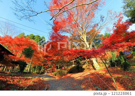 【京都府】高雄山 神護寺参道の紅葉 【京都府】高雄山 神護寺参道の紅葉 121228861