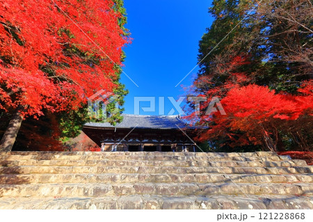 【京都府】高雄山 神護寺参道の紅葉（金堂） 121228868
