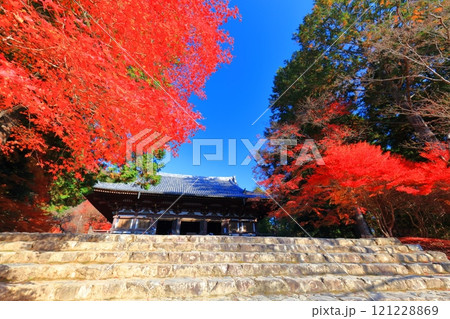 【京都府】高雄山 神護寺参道の紅葉（金堂） 121228869