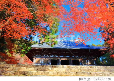 【京都府】高雄山 神護寺参道の紅葉(金堂) 【京都府】高雄山 神護寺参道の紅葉(金堂) 121228870