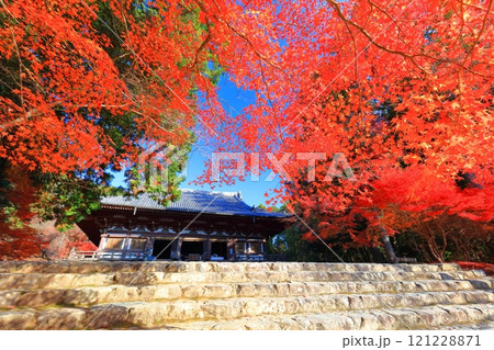 【京都府】高雄山 神護寺参道の紅葉（金堂） 121228871