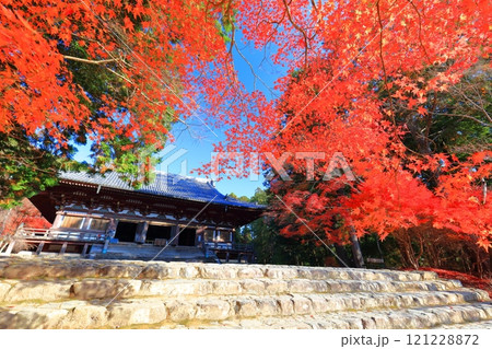 【京都府】高雄山 神護寺参道の紅葉(金堂) 【京都府】高雄山 神護寺参道の紅葉(金堂) 121228872