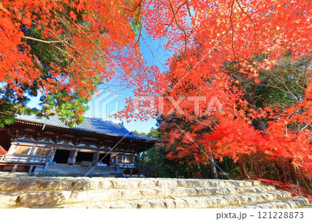 【京都府】高雄山 神護寺参道の紅葉(金堂) 【京都府】高雄山 神護寺参道の紅葉(金堂) 121228873