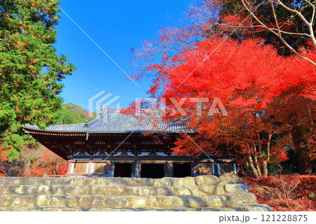 【京都府】高雄山 神護寺参道の紅葉（金堂） 121228875