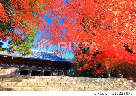 【京都府】高雄山 神護寺参道の紅葉（金堂） 121228879