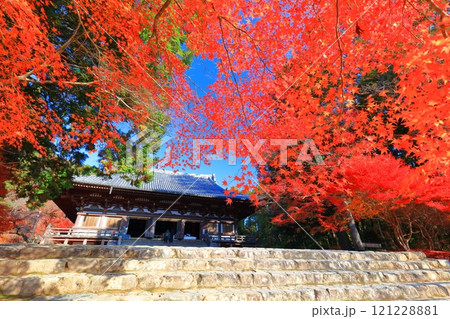 【京都府】高雄山 神護寺参道の紅葉（金堂） 121228881