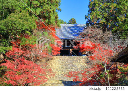 【京都府】高雄山 神護寺参道の紅葉(金堂) 【京都府】高雄山 神護寺参道の紅葉(金堂) 121228883