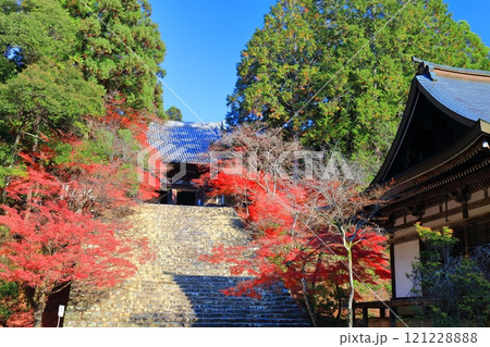 【京都府】高雄山 神護寺参道の紅葉(金堂) 【京都府】高雄山 神護寺参道の紅葉(金堂) 121228888