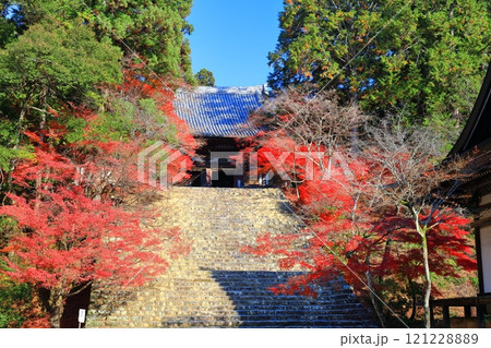 【京都府】高雄山 神護寺参道の紅葉（金堂） 121228889