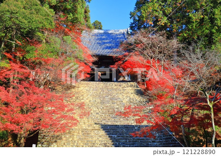 【京都府】高雄山 神護寺参道の紅葉（金堂） 121228890