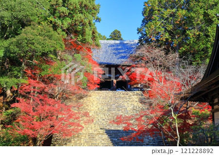 【京都府】高雄山 神護寺参道の紅葉（金堂） 121228892