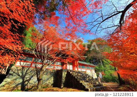 【京都府】高雄山 神護寺参道の紅葉（多宝塔） 121228911