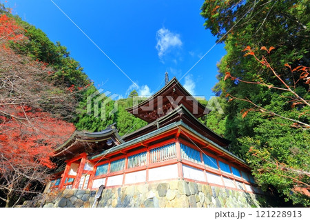 【京都府】高雄山 神護寺参道の紅葉（多宝塔） 121228913