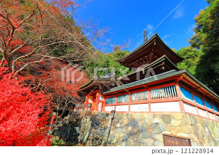 【京都府】高雄山 神護寺参道の紅葉(多宝塔) 【京都府】高雄山 神護寺参道の紅葉(多宝塔) 121228914