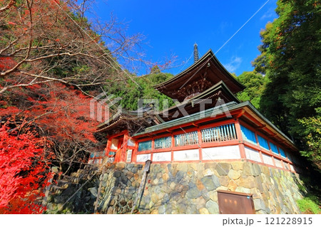 【京都府】高雄山 神護寺参道の紅葉（多宝塔） 121228915