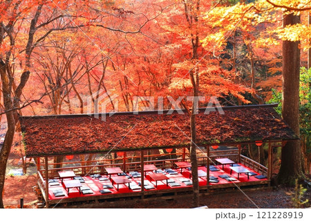 【京都府】高雄山 神護寺参道の紅葉 121228919