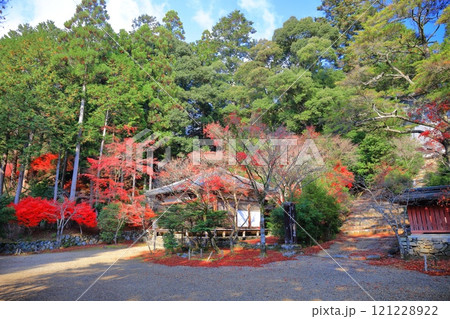 【京都府】高雄山 神護寺参道の紅葉(明王堂) 【京都府】高雄山 神護寺参道の紅葉(明王堂) 121228922