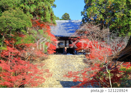 【京都府】高雄山 神護寺参道の紅葉（金堂） 121228924
