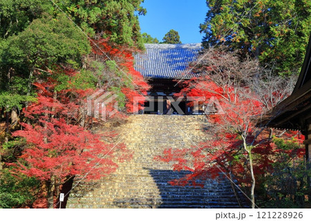 【京都府】高雄山 神護寺参道の紅葉(金堂) 【京都府】高雄山 神護寺参道の紅葉(金堂) 121228926