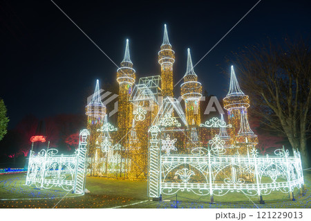 群馬　しぶかわイルミネーション 121229013