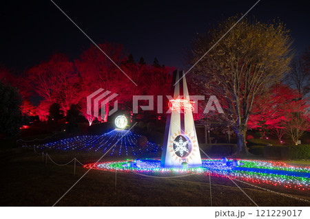 群馬　しぶかわイルミネーション 121229017