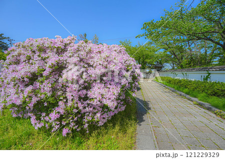 本荘公園 121229329