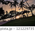 ヤシの木のある風景 121229735
