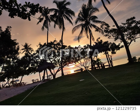ヤシの木のある風景 ヤシの木のある風景 121229735